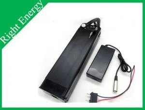 48v 20ah Ebike 배터리
